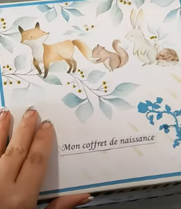 Coffret de naissance et son album