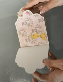 Mini Album Naissance